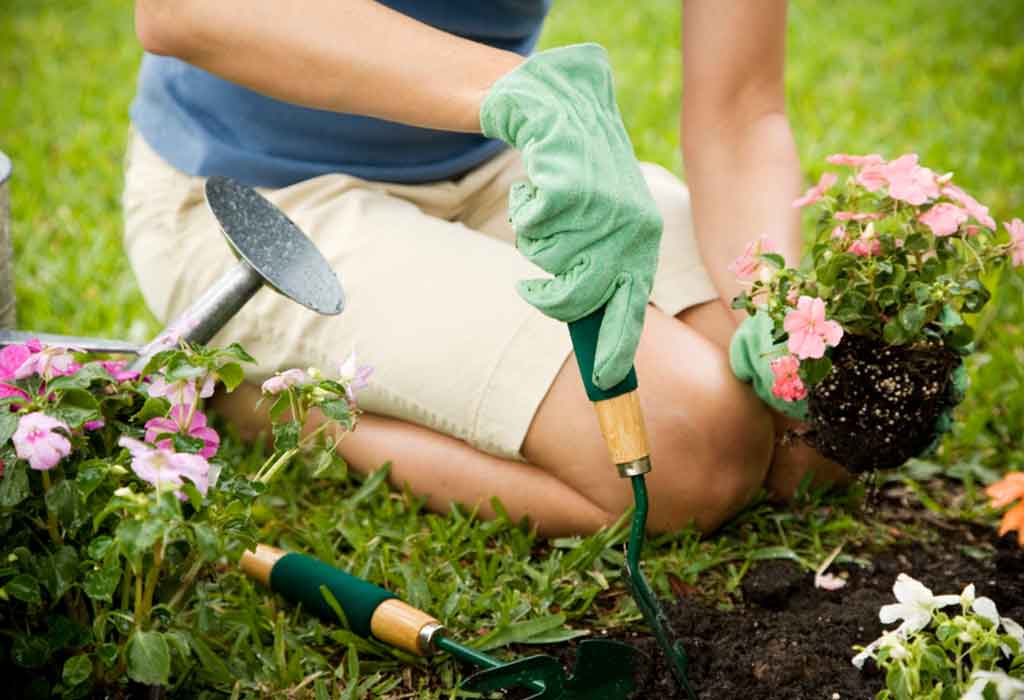 Getting Started with The Stylish Gardener