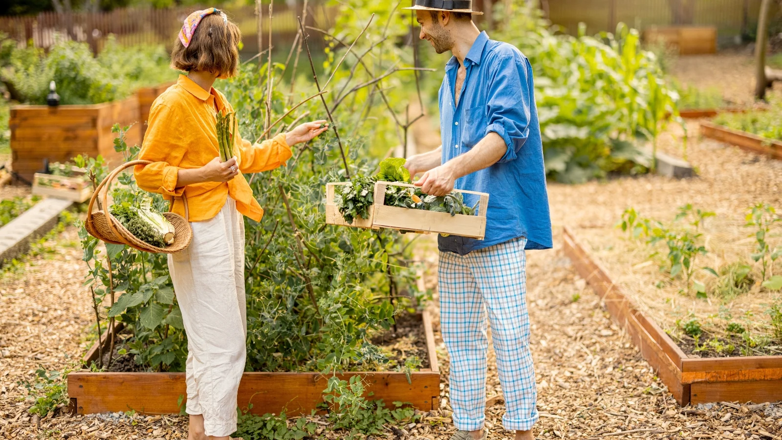 Getting Started with The Stylish Gardener